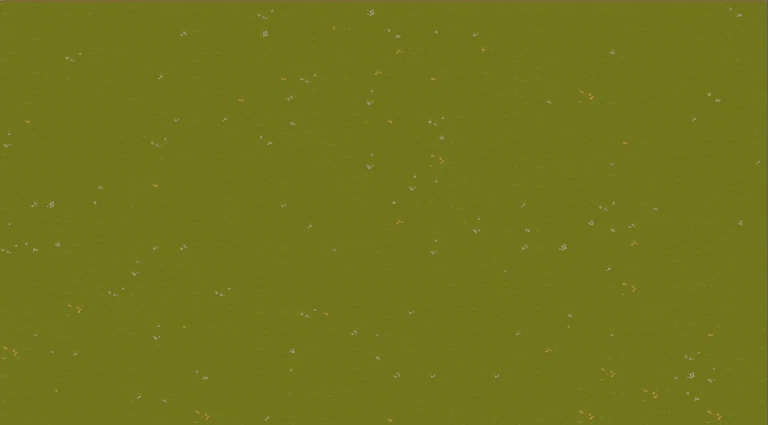 field of flowers